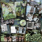 BOYNEXTDOOR – 4th EP [No Genre] thumbnail