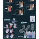 (Bestillingsvare) MODYSSEY - 1.Got Hooked: An Addictive Symphony [Random Cover] thumbnail