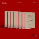 STRAY KIDS - [MAXIDENT] CASE Edition thumbnail