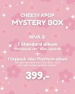 CHEESY KPOP MYSTERY BOX thumbnail