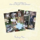 Hearts2Hearts - The Chase [Package Ver.] thumbnail