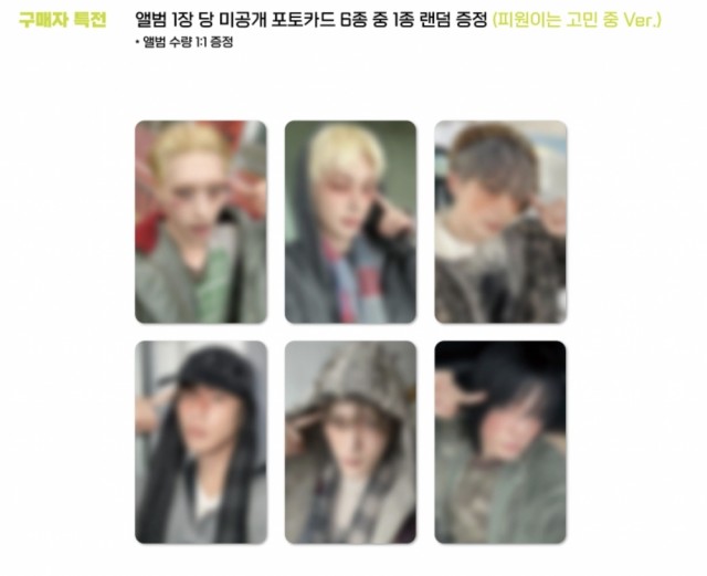 EVERLINE POB (1 PC PER ALBUM)